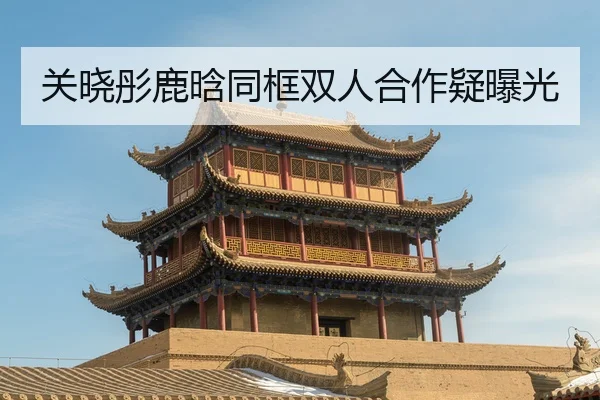 guan-xiao-tong-lu-han-tong-kuang-shuang-ren-he-zuo-yi-bao-guang-2-821.jpg