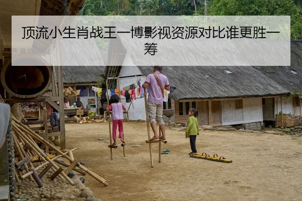 顶流小生肖战王一博影视资源对比谁更胜一筹